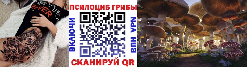 Псилоцибиновые грибы мухоморы  купить  сайты  Павловская 